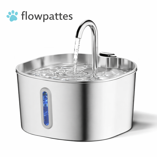 Fontaine à Eau Automatique pour Chat – Ultra Silencieuse & Filtrée